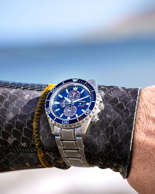 Promaster Dive Blue Dial Stainless Steel Bracelet CA0710-58L Promaster Dive Blue Dial Stainless Steel Bracelet CA0710-58L